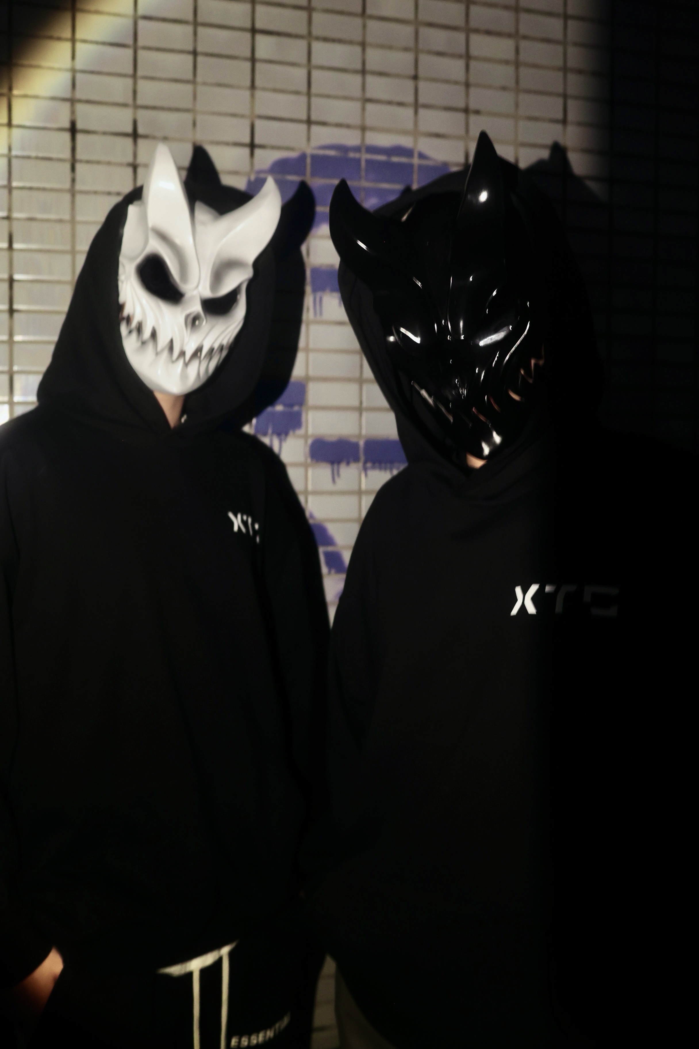 XTC Project detail 2